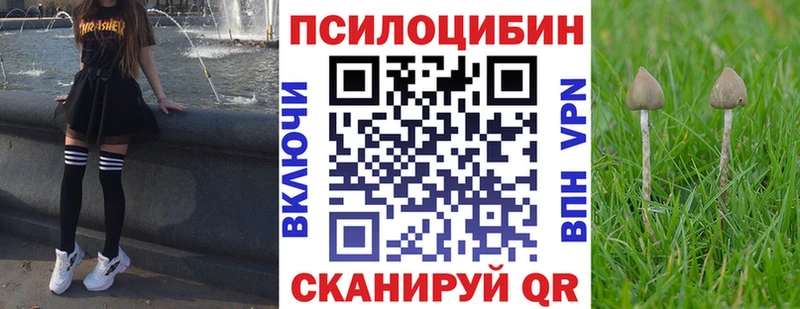 Псилоцибиновые грибы мухоморы Венёв